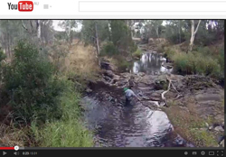 Still from YouTube video on the Hollands Creek demonstration reach project