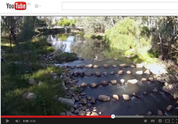 Still from YouTube video on the Ovens Creek demonstration reach project