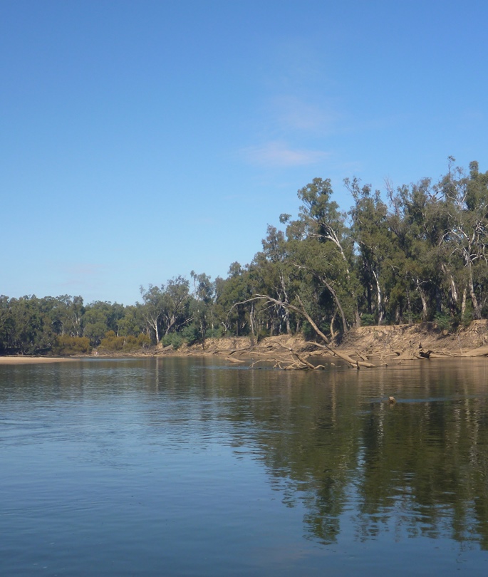 The Murray River, which forms part of the border of Victoria