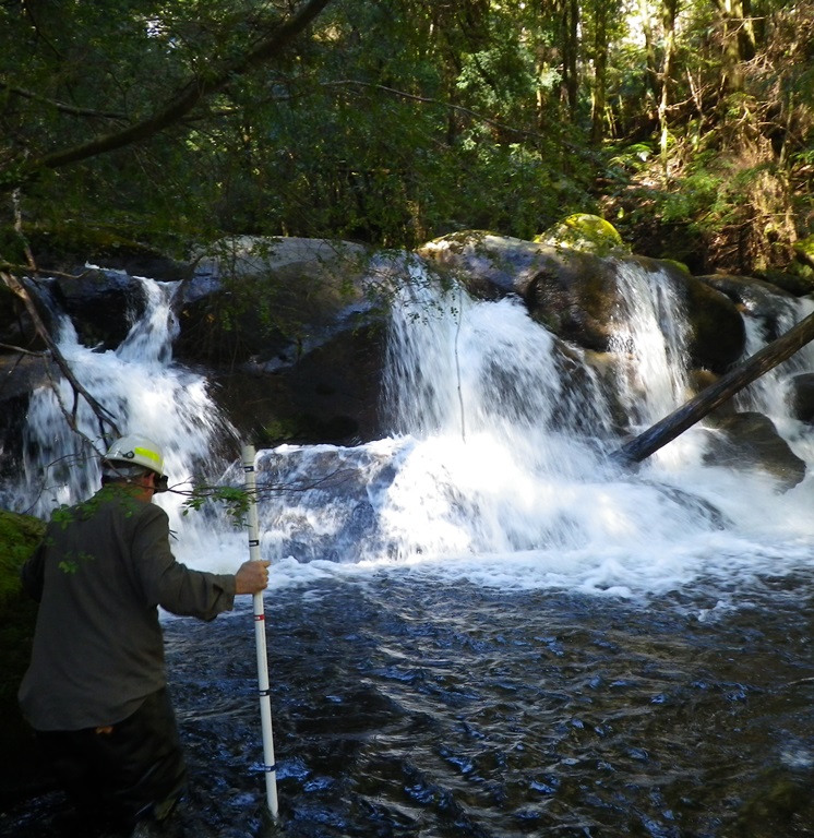 A natural waterfall on the Rubicon River, protecting Barred Galaxias from trout