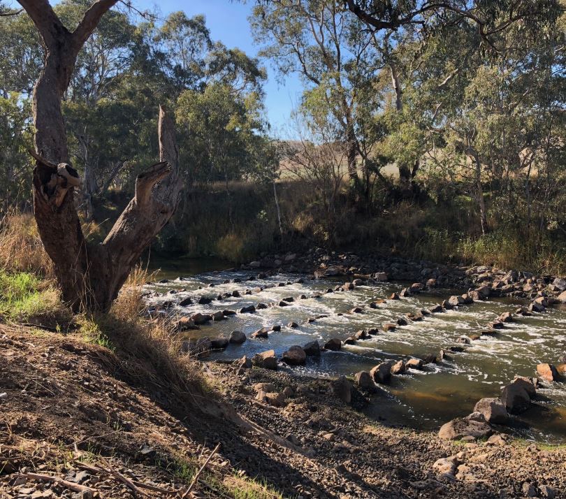 This fishway on the Glenelg River at Sandford has updated Gauge No 238202