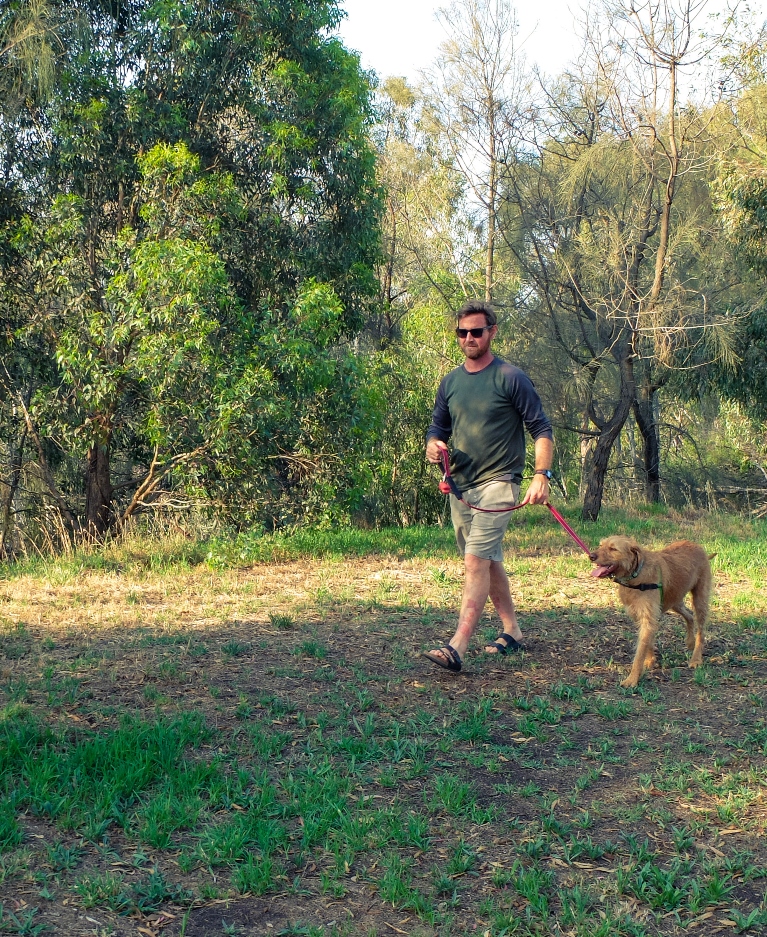 Walking a dog on a leash - an example of responsible pet ownership