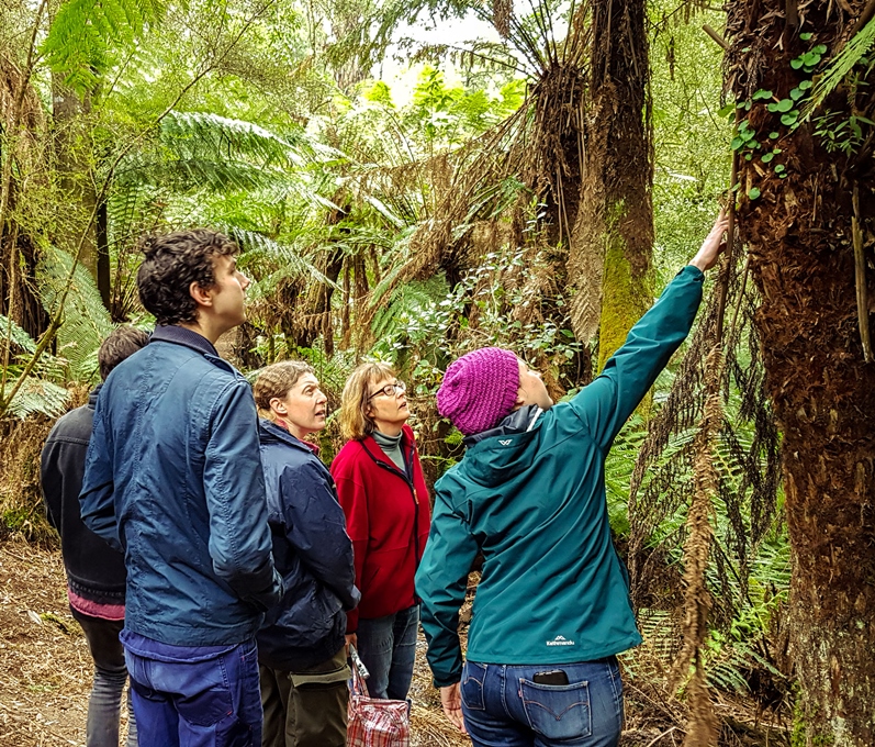 Citizen scientists learning about nature