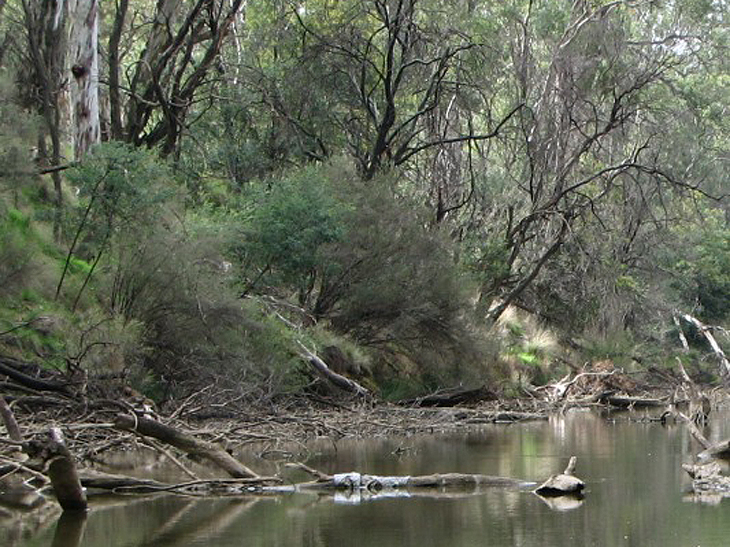 The Goulburn River