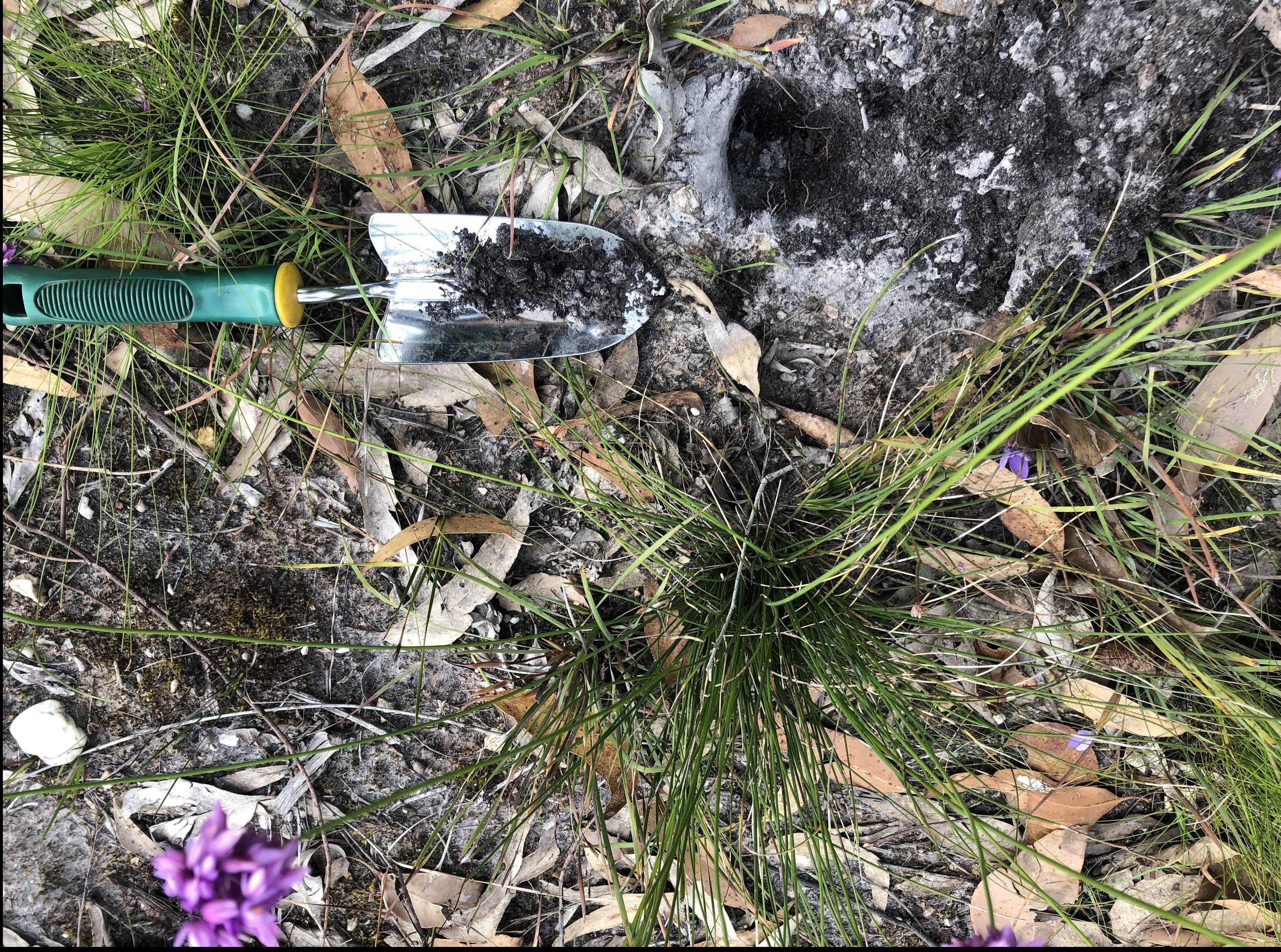 Soil biome project-Cape conran, photo by Matt Bruce