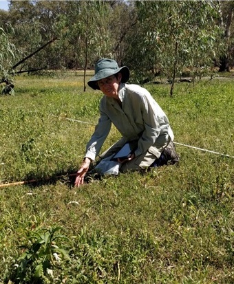 Vegetation survey