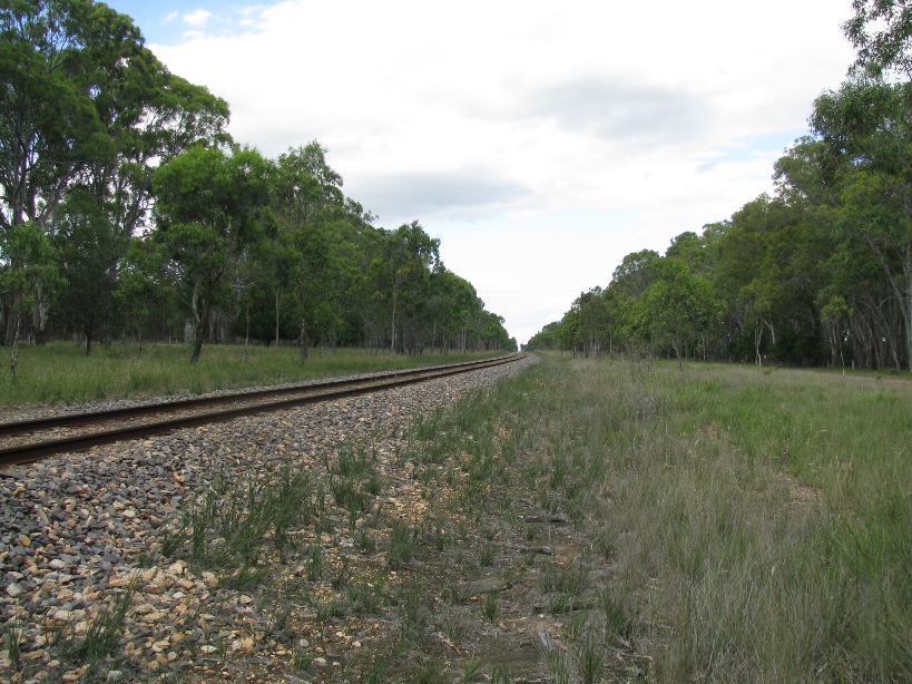 Remnant grassland along a railway line in east Gippsland