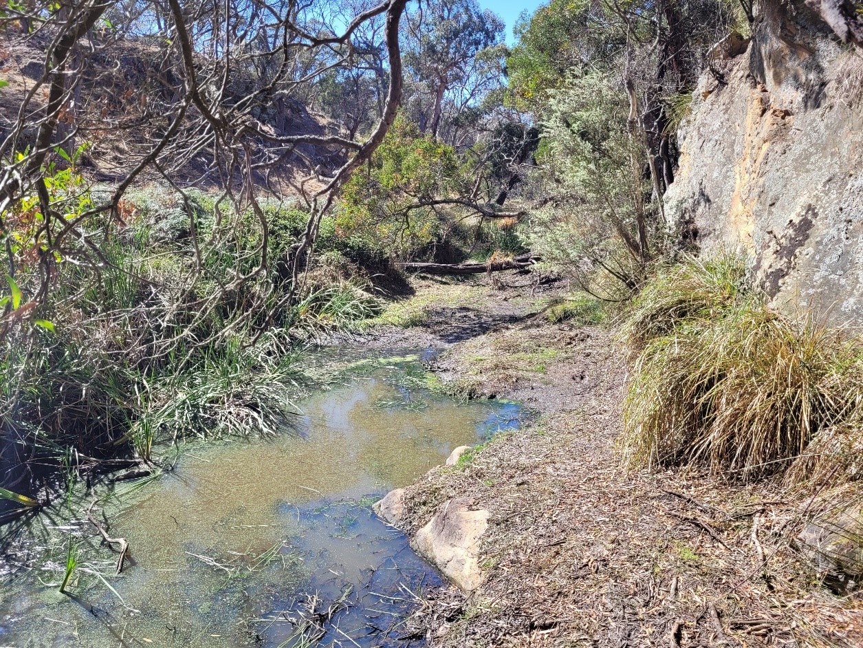Moorabool River in dry conditions prior to the flow in January 2025