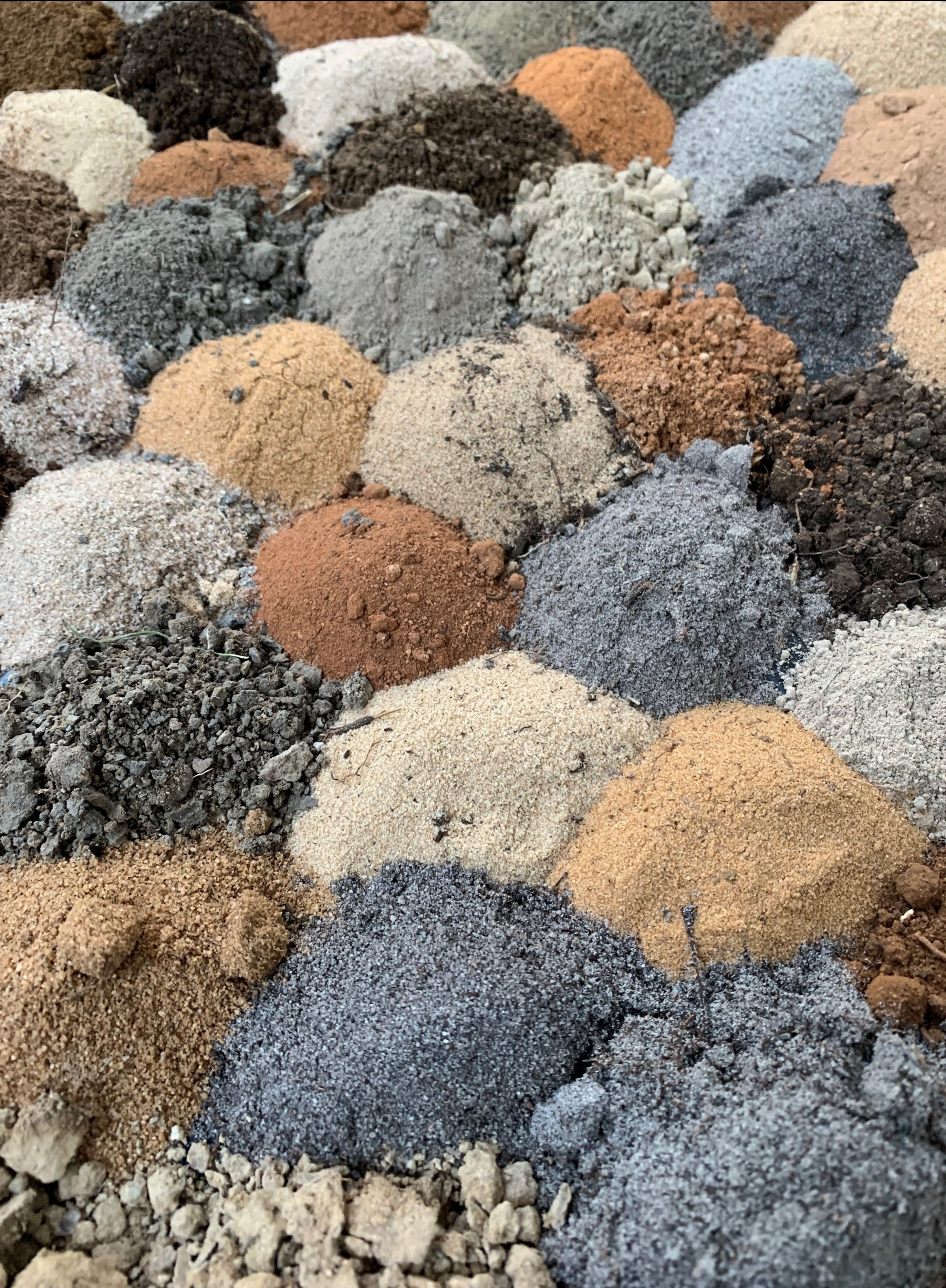 Victorian Soils-Soil Biome project, photo by Matt Bruce