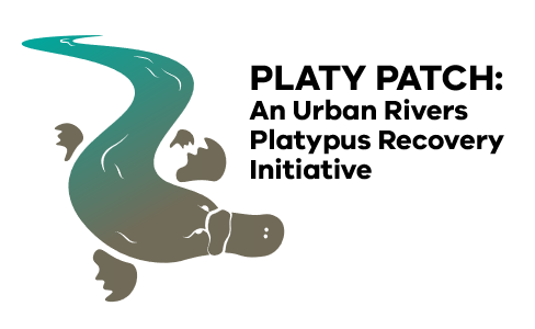 Platy Patch icon