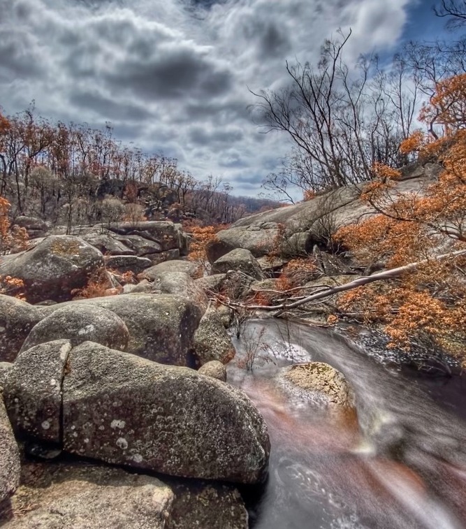 Burnt landscape after the 2019-2020 fires in Victoria