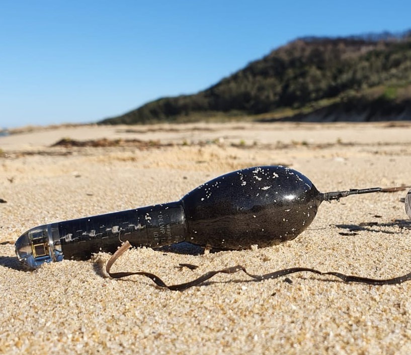 A satellite tag used to track eel movement