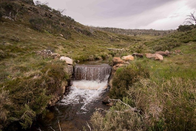 Small waterfall in stream