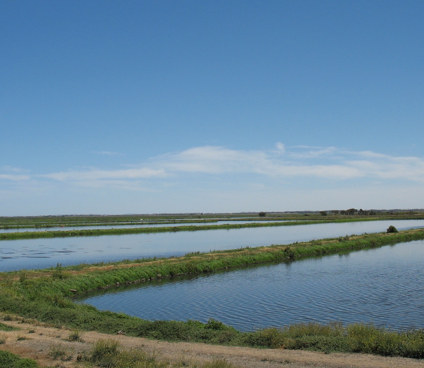 Lagoons at the Western Treatment Plant