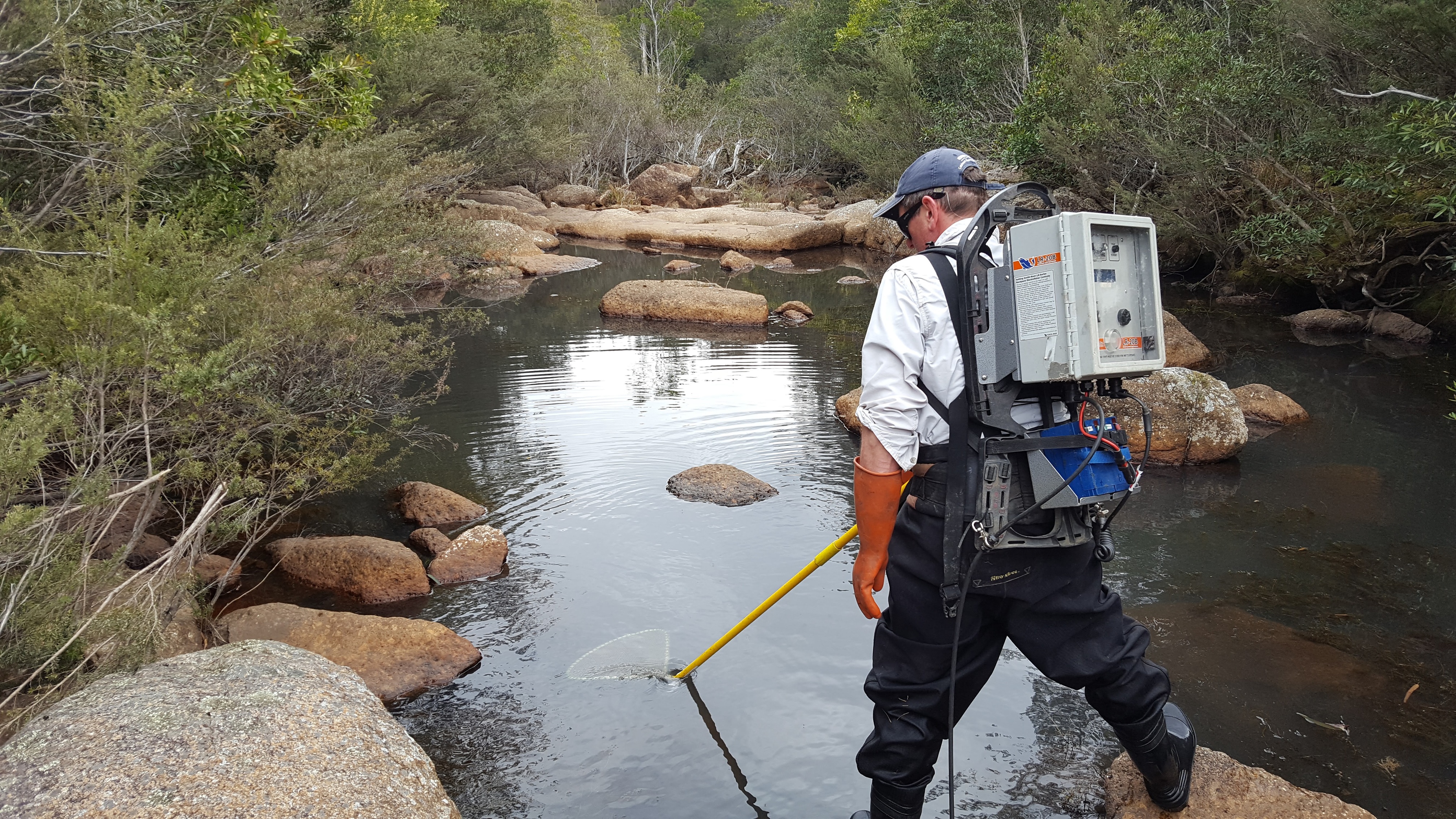 Backpack electrofishing 