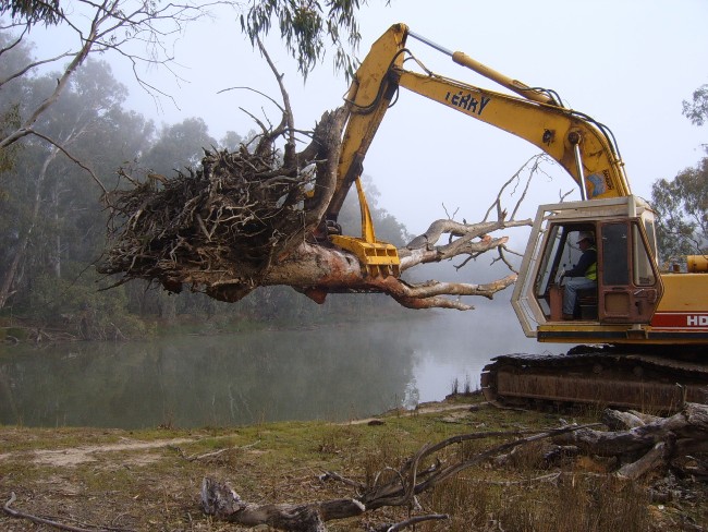 A fallen tree being placed into a river by an excavator