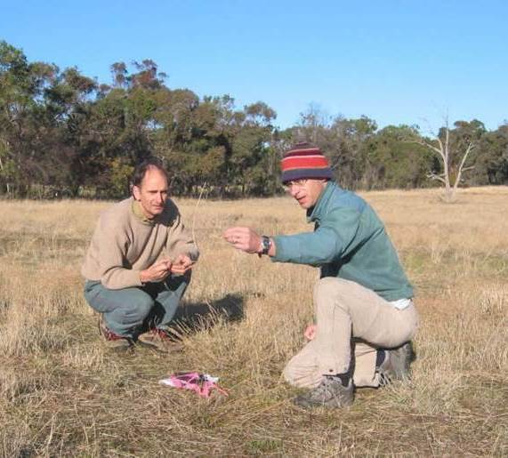 Conducting a condition assessment of a grassland