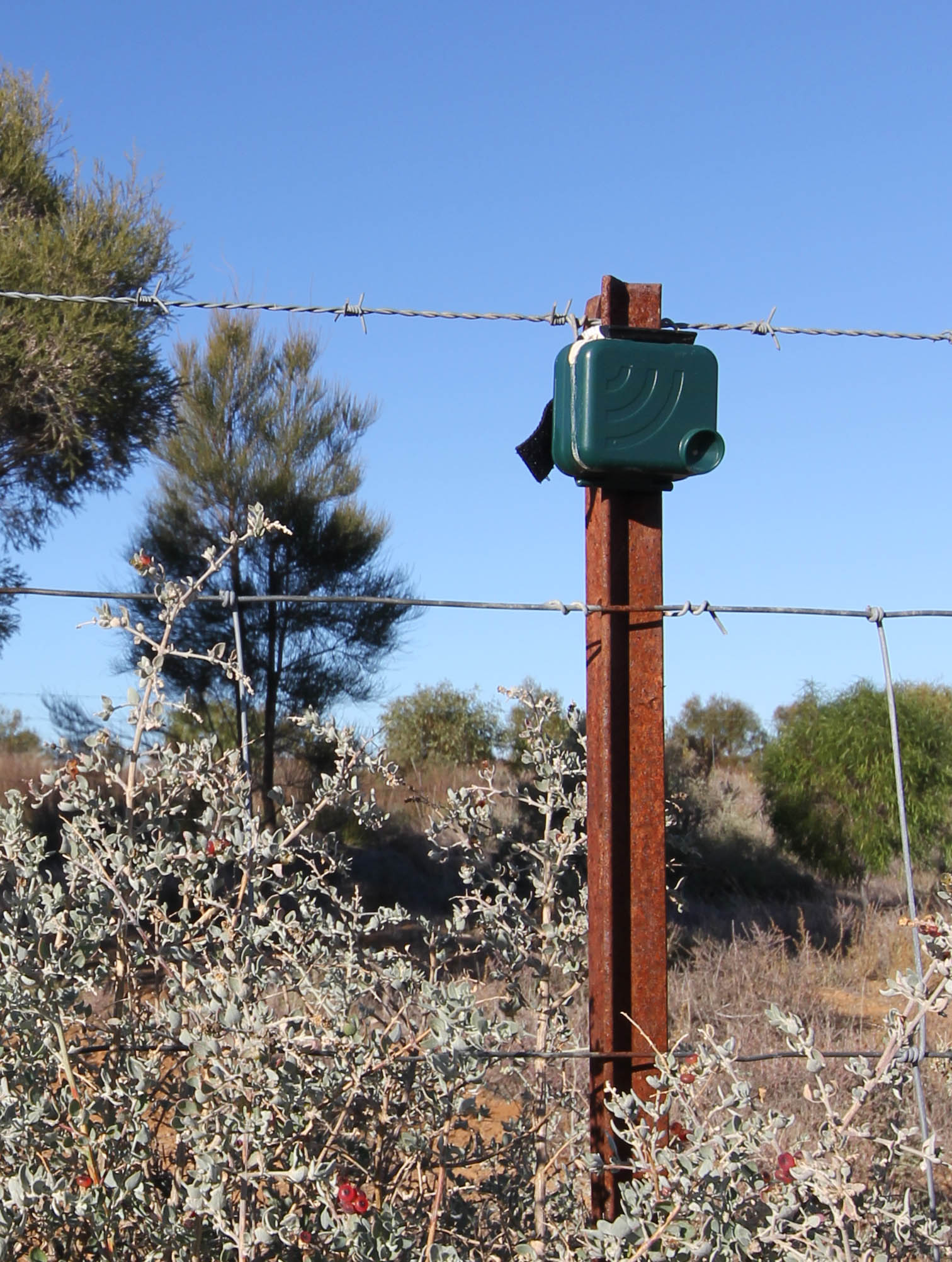 An audio recording device deployed in the field