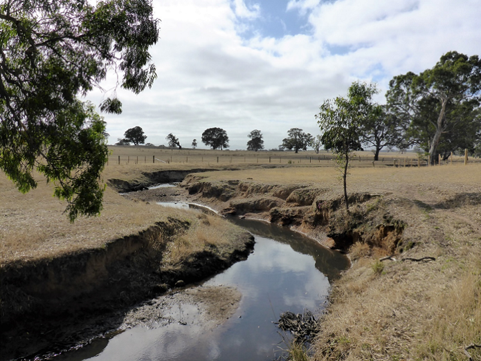 Image of a denuded creek in a paddock