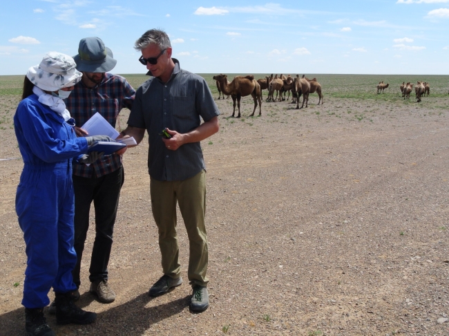 Researchers with camels in the background