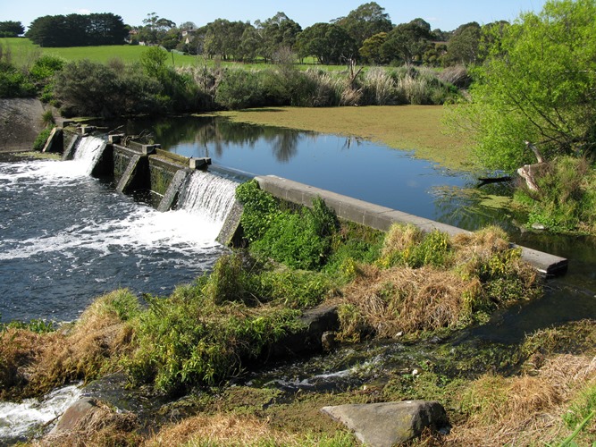 Barriers, like this one on the Merri River estuary in western Victoria can restrict water or biota movement