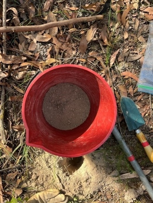 Soil sample-Soil Biome, photo by Matt Bruce