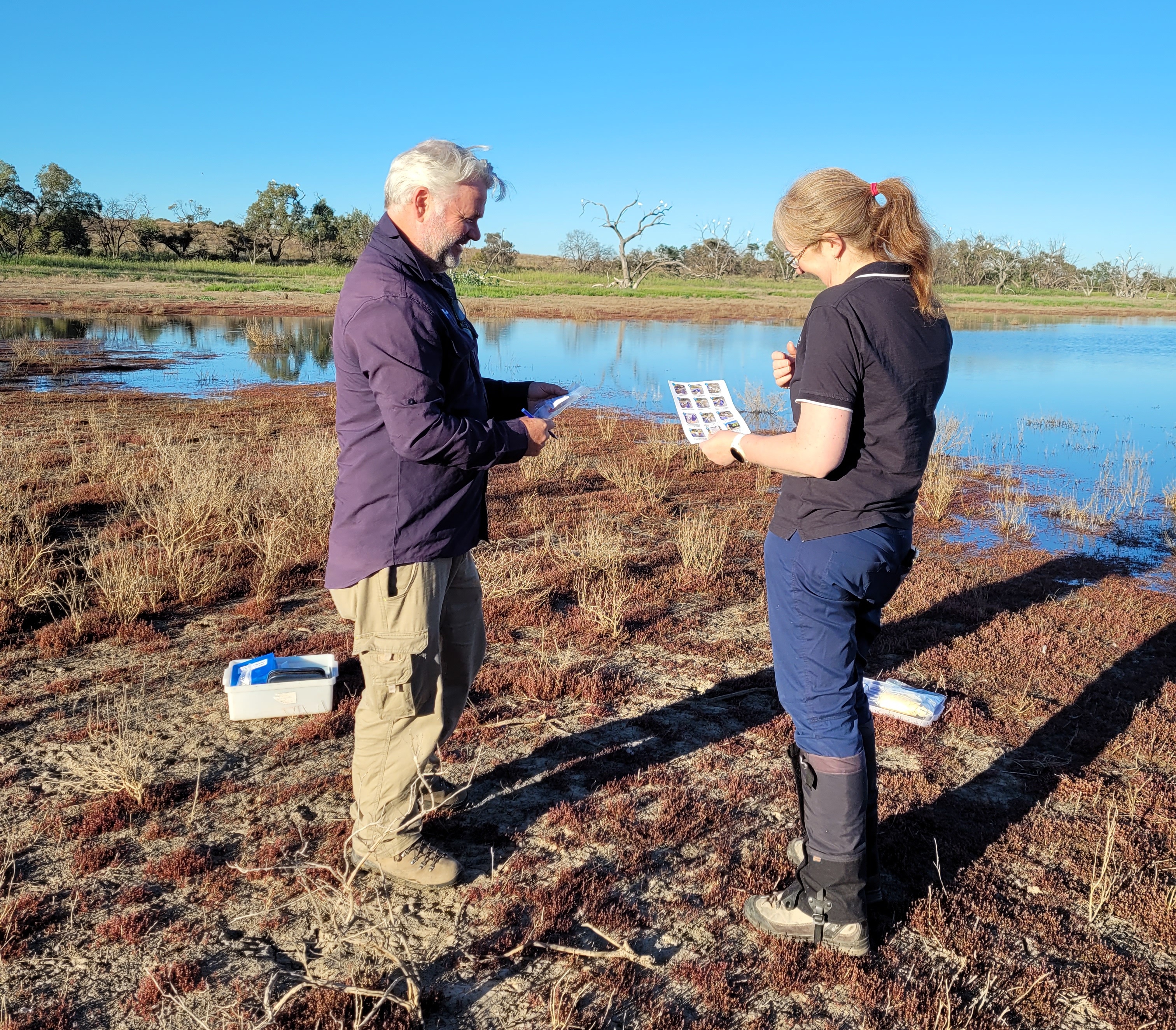 Collecting plant tissue and water samples from a wetland