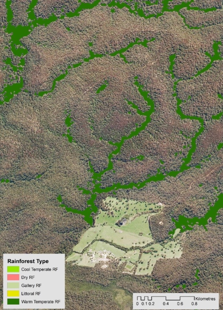 Results from modelling showing rainforest areas in East Gipplsand