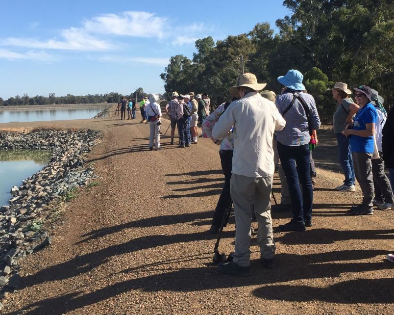 Citizen scientists at a WetMAP field day