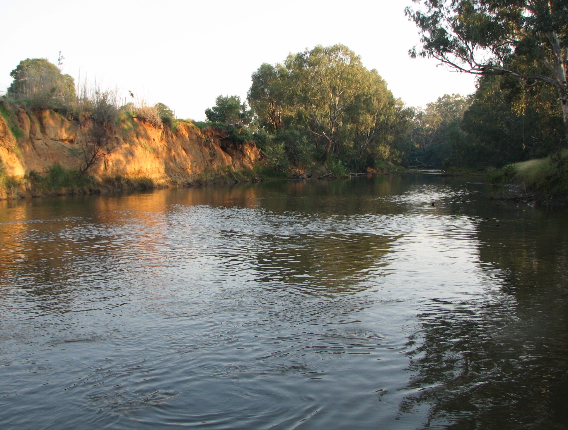 The Ovens River, near Wangaratta