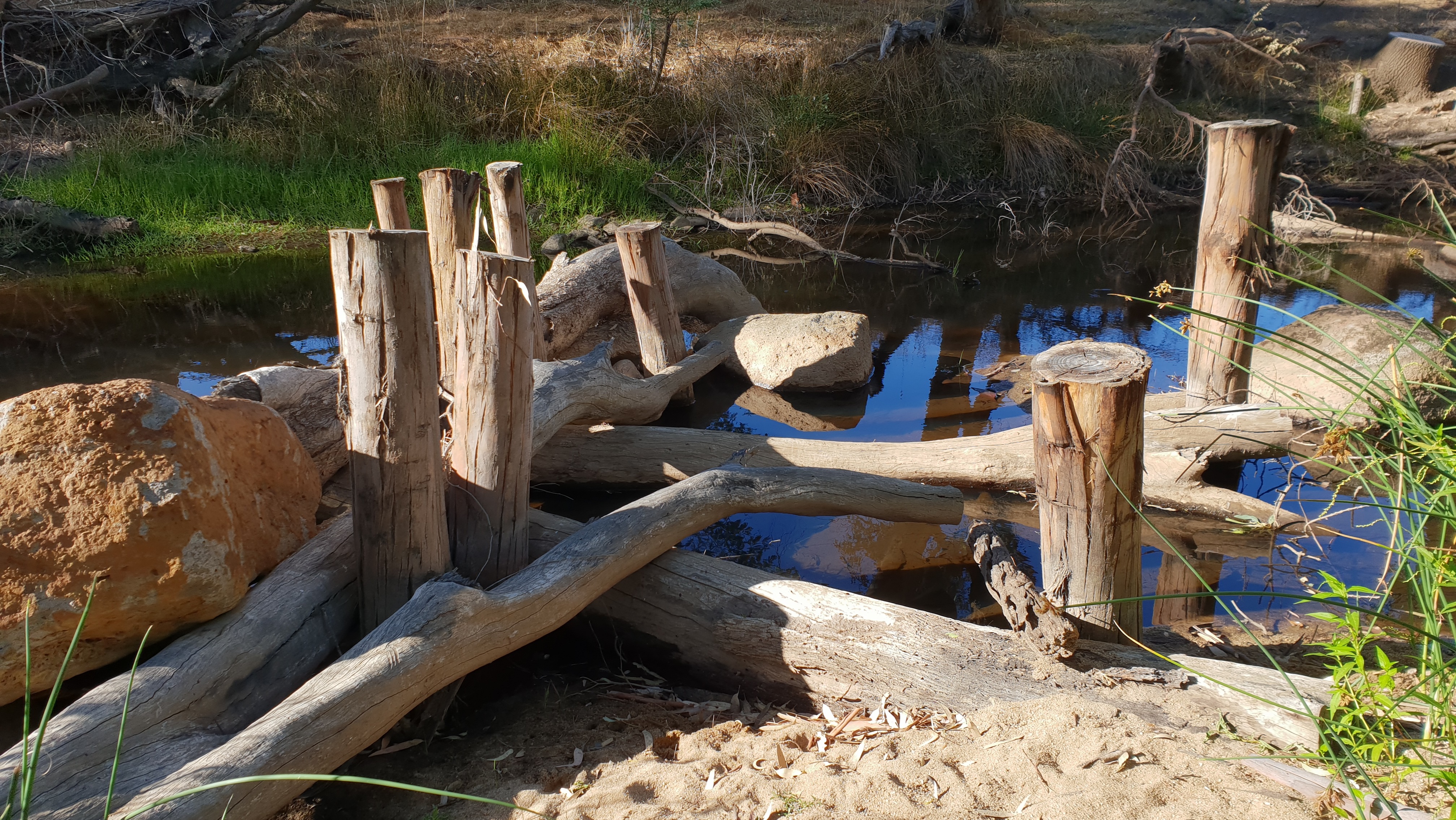 Instream woody habitat in Hughes Creek to benefit Macquarie Perch