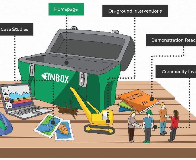 Finbox graphic, showing components of the river Demonstration Reach Program