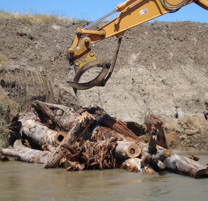 Restoring a river Demonstration Reach by returning woody habitat