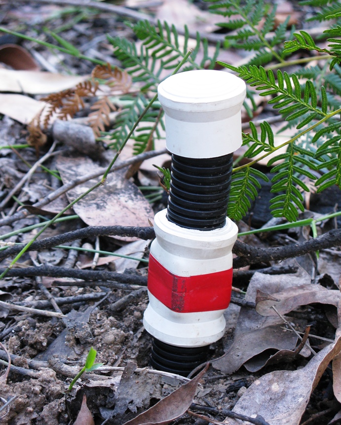 The ARI burrowing crayfish trap deployed at Tarra Bulga National Park