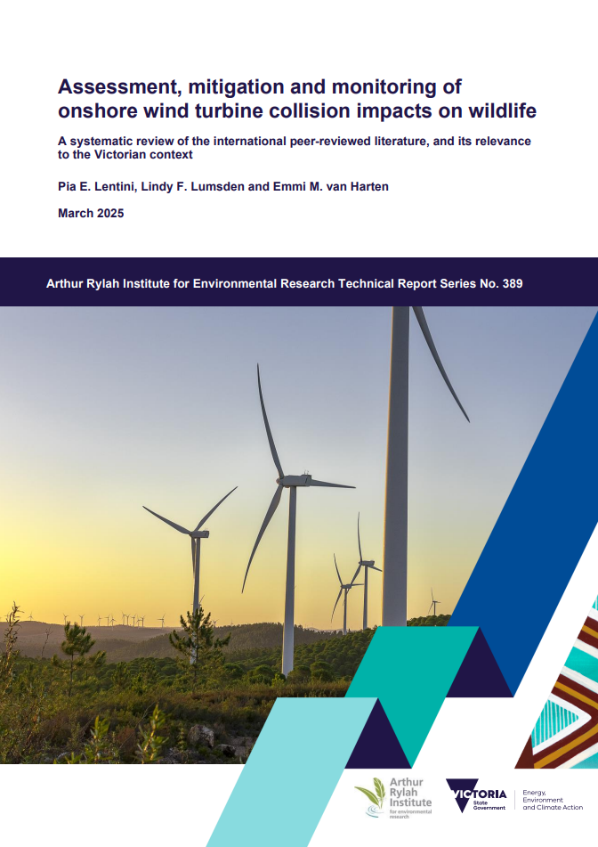 Collision impact literature review cover