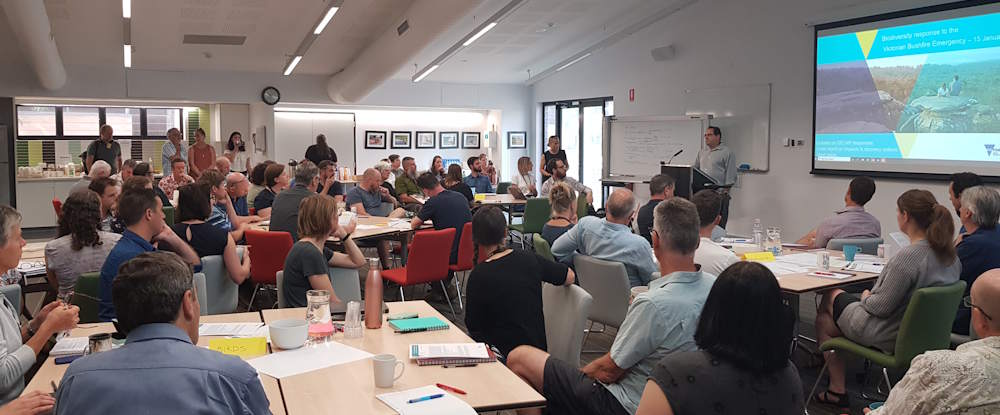 Biodiversity workshop
