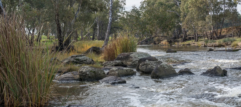 Campaspe River