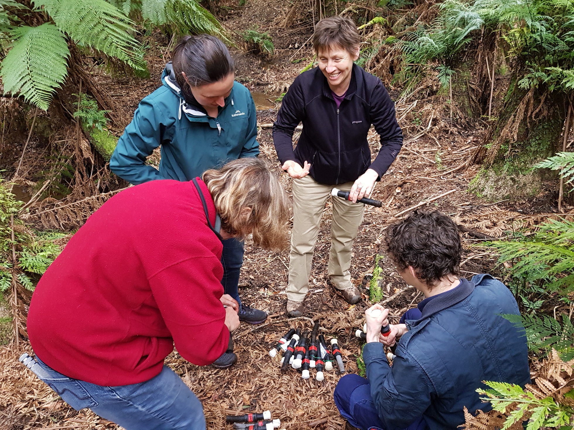 Working with citizen scientists to survey Dandenong Burrowing Crayfish