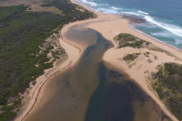 Powlett River estuary