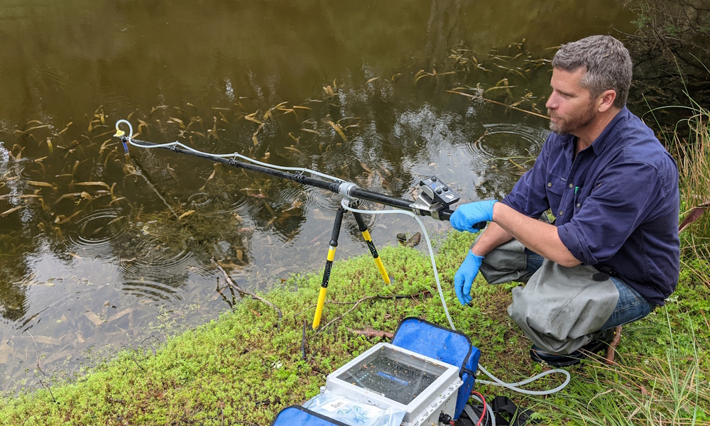 Collecting an eDNA sample from a river.