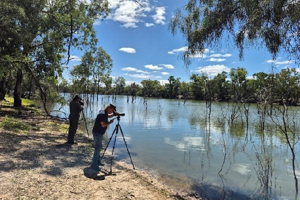ARI ground surveys for birds using scopes