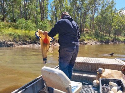 Retrieving a larval drift net during fish egg and larvae survey