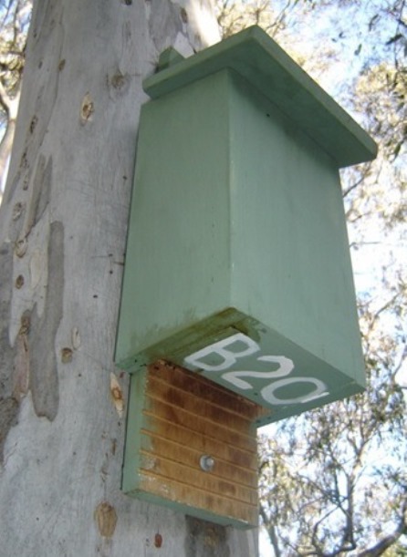 A bat box installed for the Melbourne Bat Box Project (photo: Steve Griffiths)