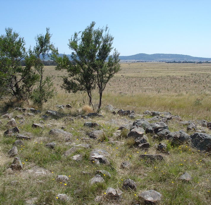 A grassland formerly used for grazing, which will be included in the MSA reserve system