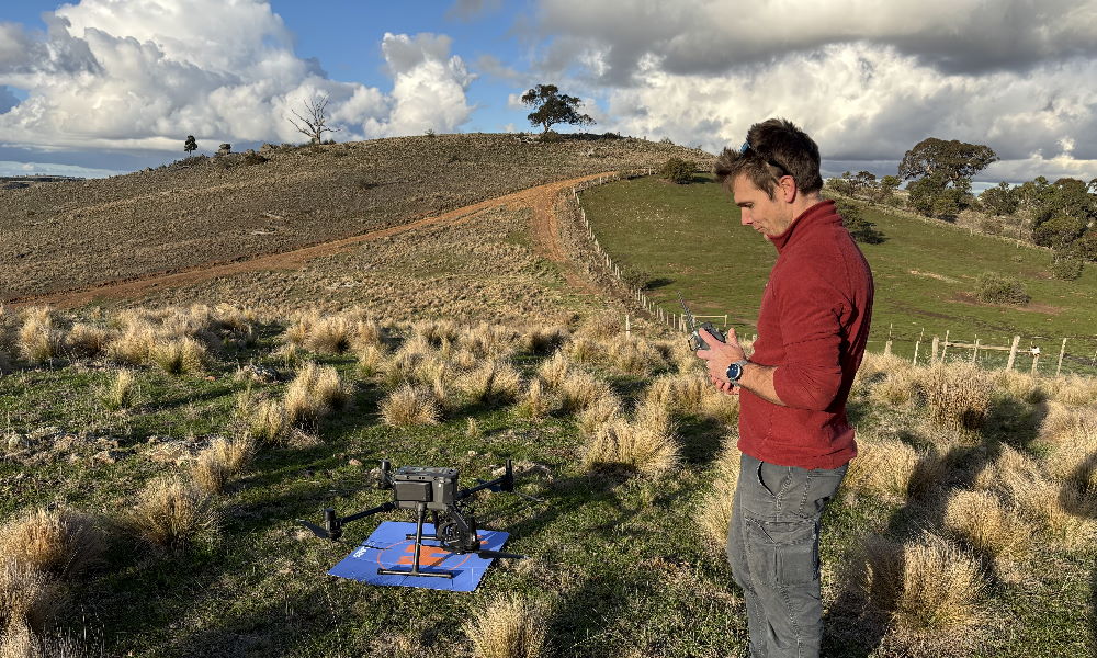 Field staff operating a drone