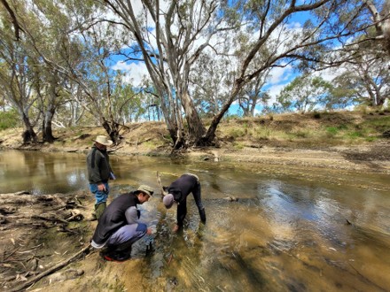 Vegetation monitoring