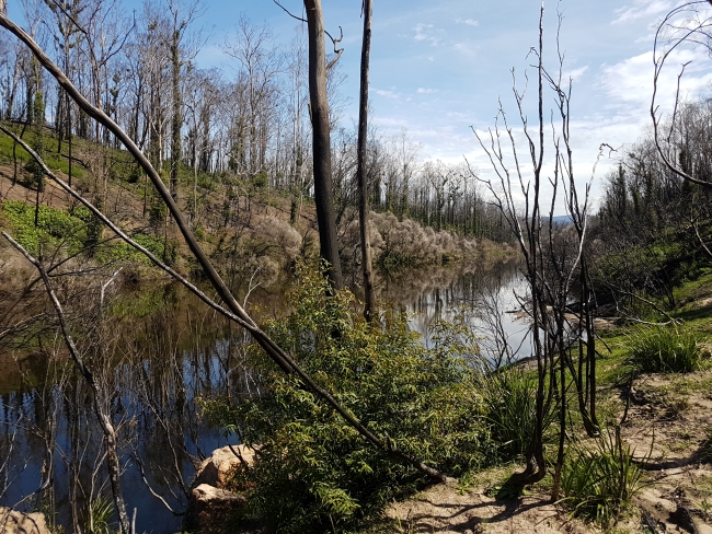 Recently burned river