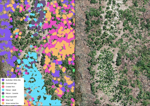 Drone imagery of Mud Islands