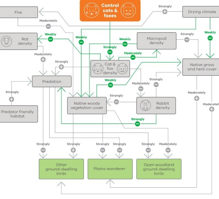 A fox control causal model