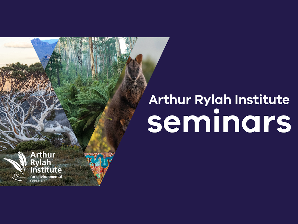 ARI seminars banner